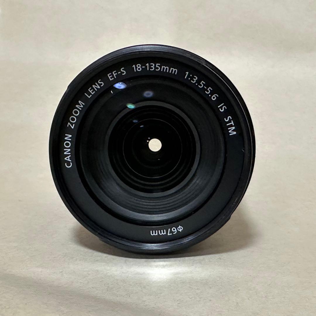 キャノン EOS8000D + 18-135 IS STM バッテリー4個付