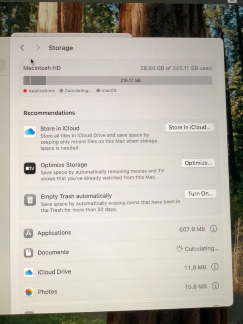 MacBook本体 Apple MacBook Pro M1 2020 M1/8GB/256GB