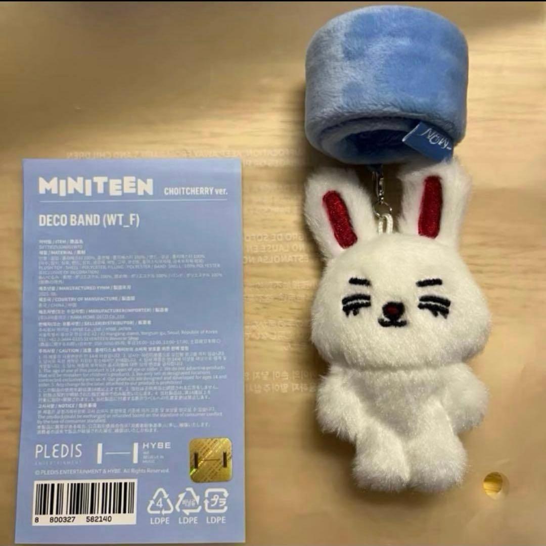 SEVENTEEN セブチ MINITEEN エスクプス デコバンド