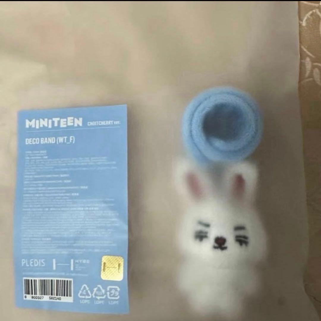 SEVENTEEN セブチ MINITEEN エスクプス デコバンド