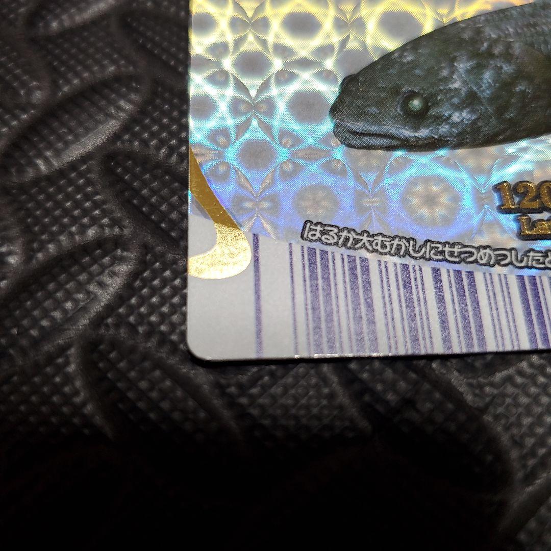 マリンマリンカード ＊シーラカンス＊