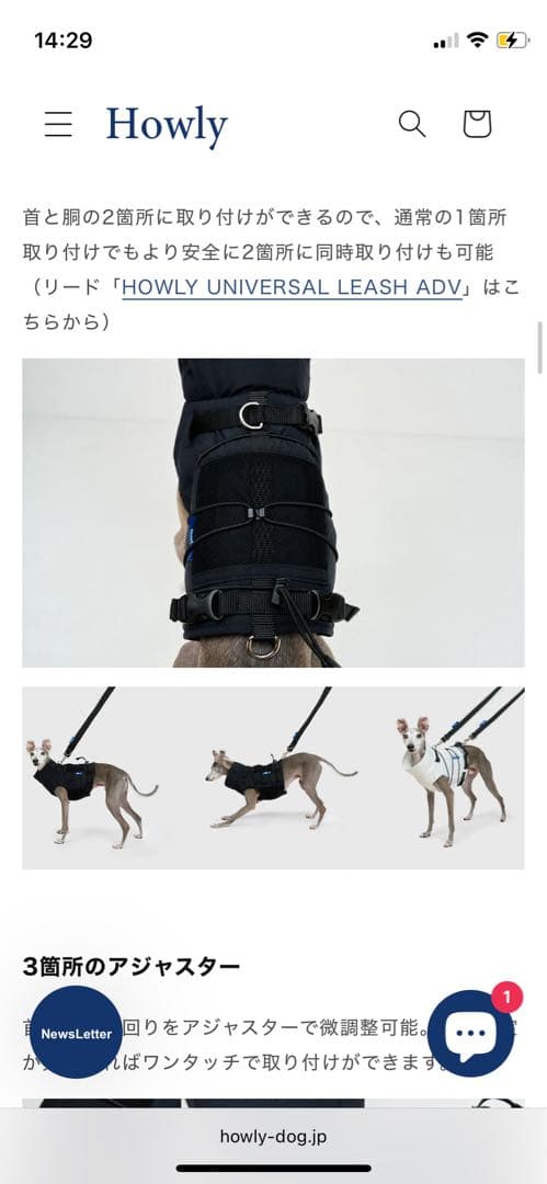 Howly FRAME-X ADV HARNESS Lsize 黒