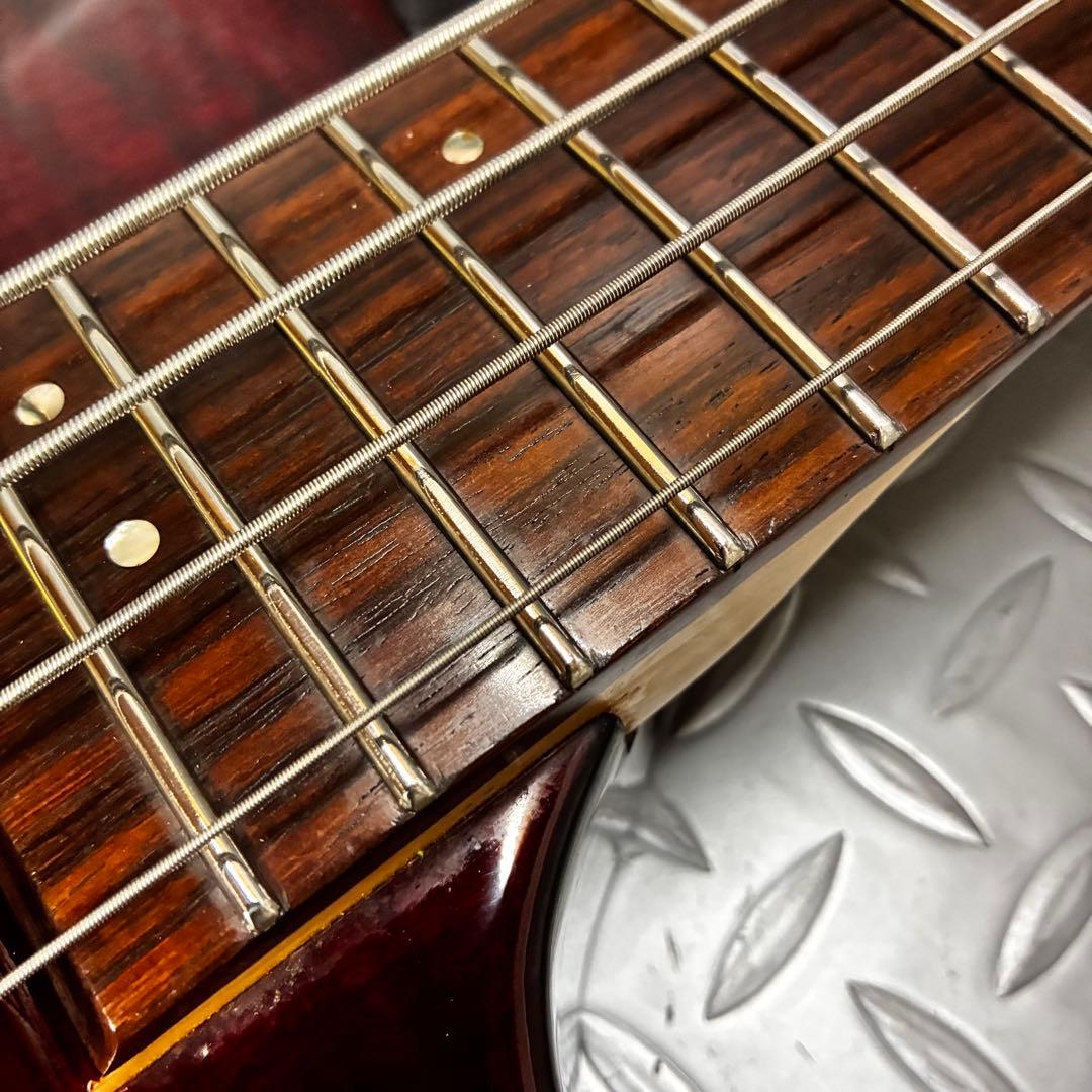 【美品】grass roots フォレストベース G-FR-65B/FM ESP