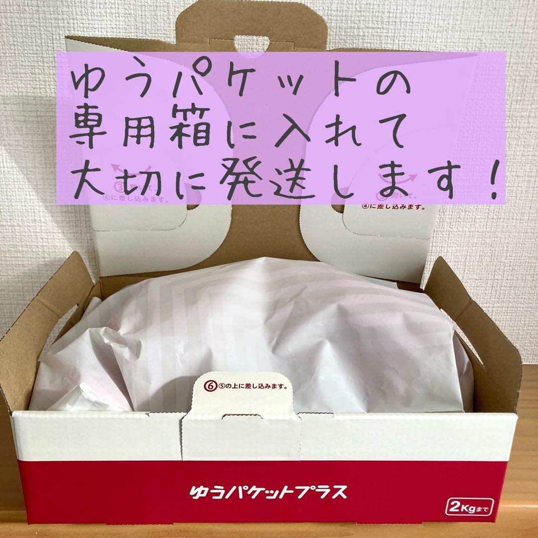 【新品未使用】完売品　ニキ NICI タレミミウサギ ペンケース 筆箱