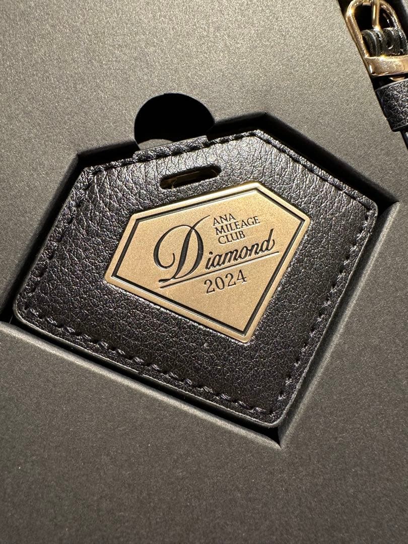 ANA マイレージクラブ ダイヤモンド 2024 ネームタグ