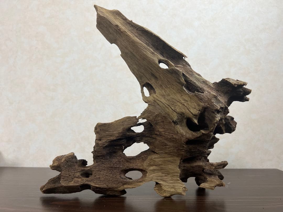 XM-378 流木　マシンガンウッド　アクアリウム　ブランチウッド