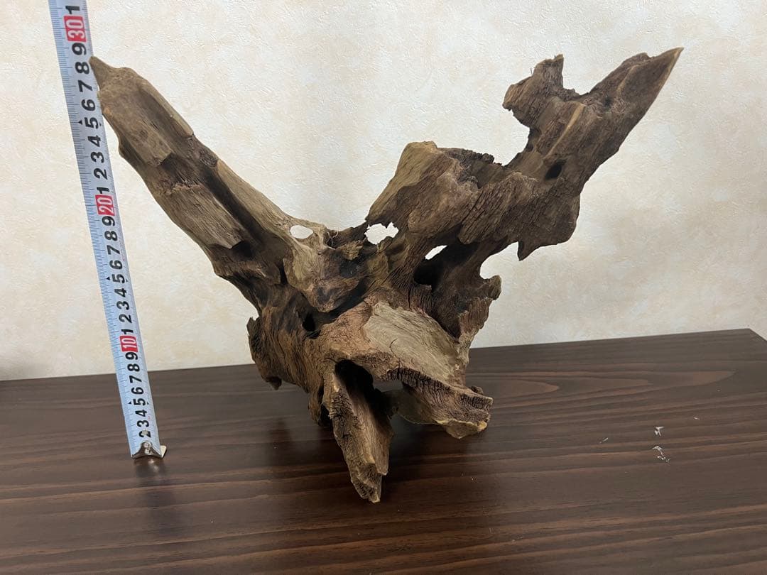 XM-378 流木　マシンガンウッド　アクアリウム　ブランチウッド