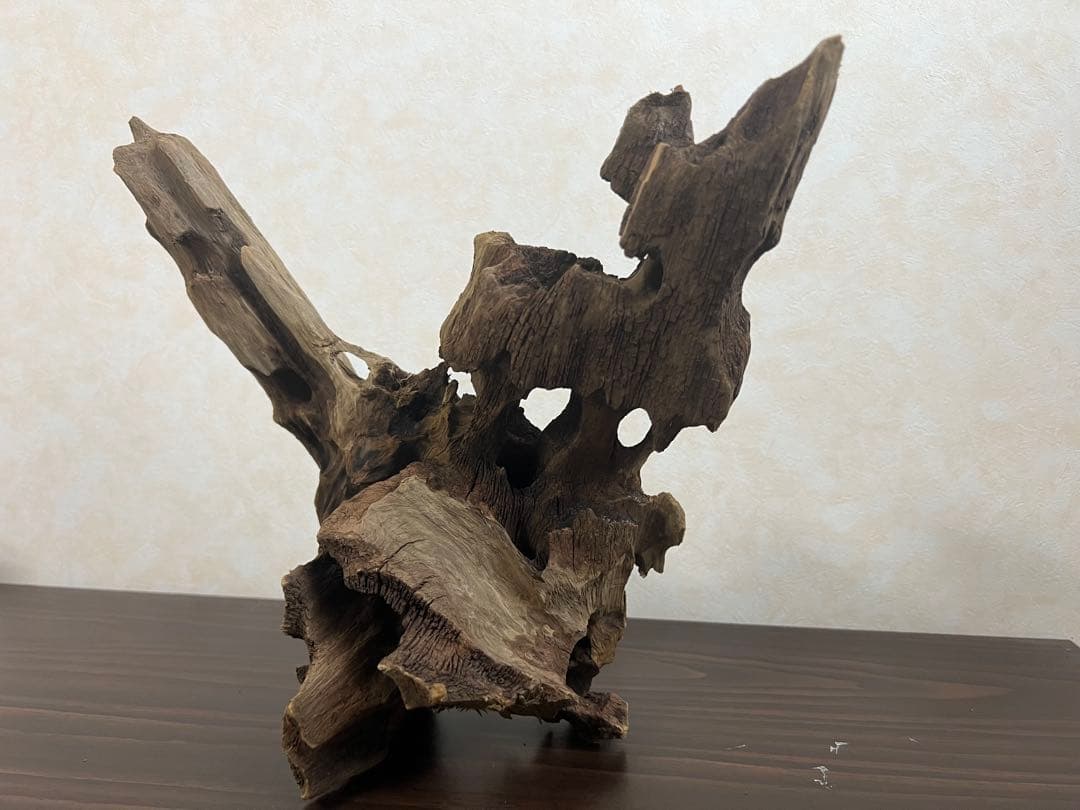 XM-378 流木　マシンガンウッド　アクアリウム　ブランチウッド