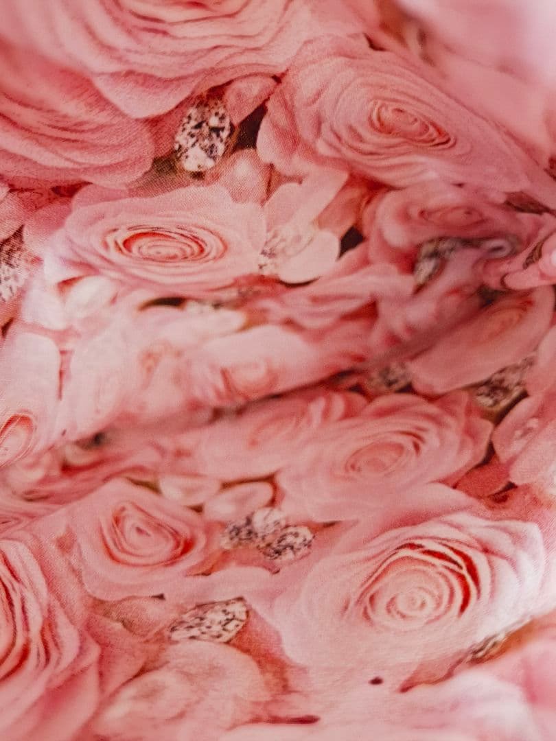 ねこ◎様♥️オーダーページ♥️2便になります