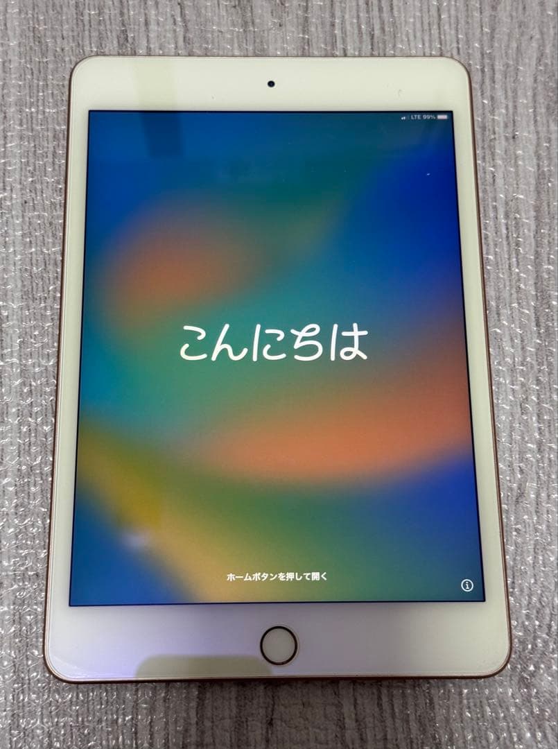 【美品】 iPad mini5 第5世代 64GB WiFi 割れ無し 本体のみ