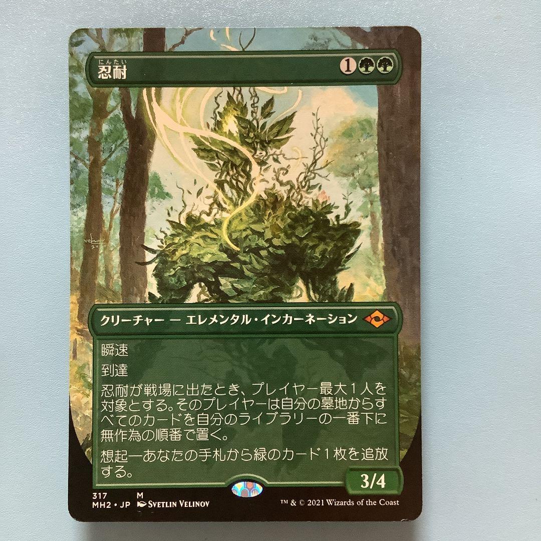 忍耐/Endurance  MH2ーBF日本語ボーダーレス