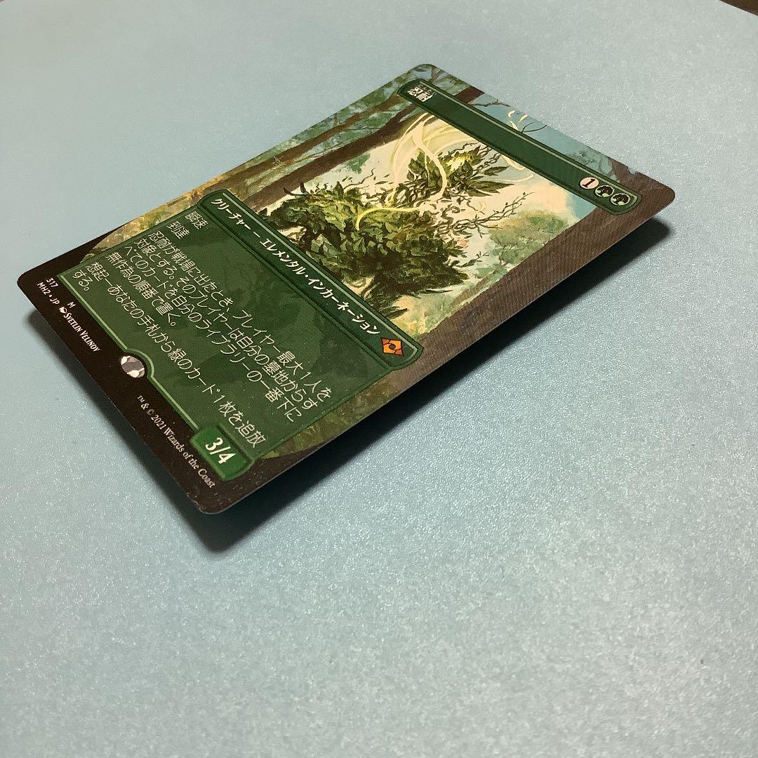 忍耐/Endurance  MH2ーBF日本語ボーダーレス