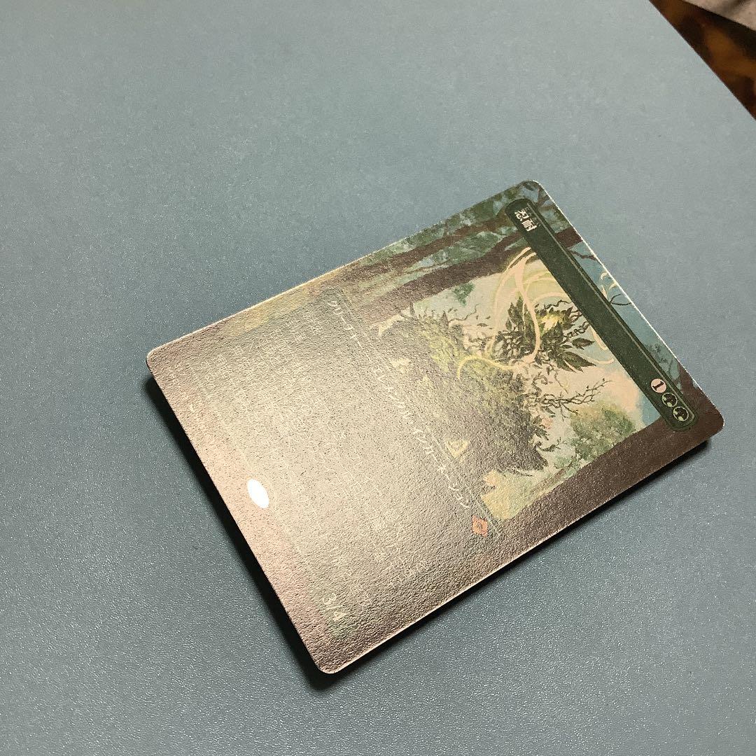 忍耐/Endurance  MH2ーBF日本語ボーダーレス