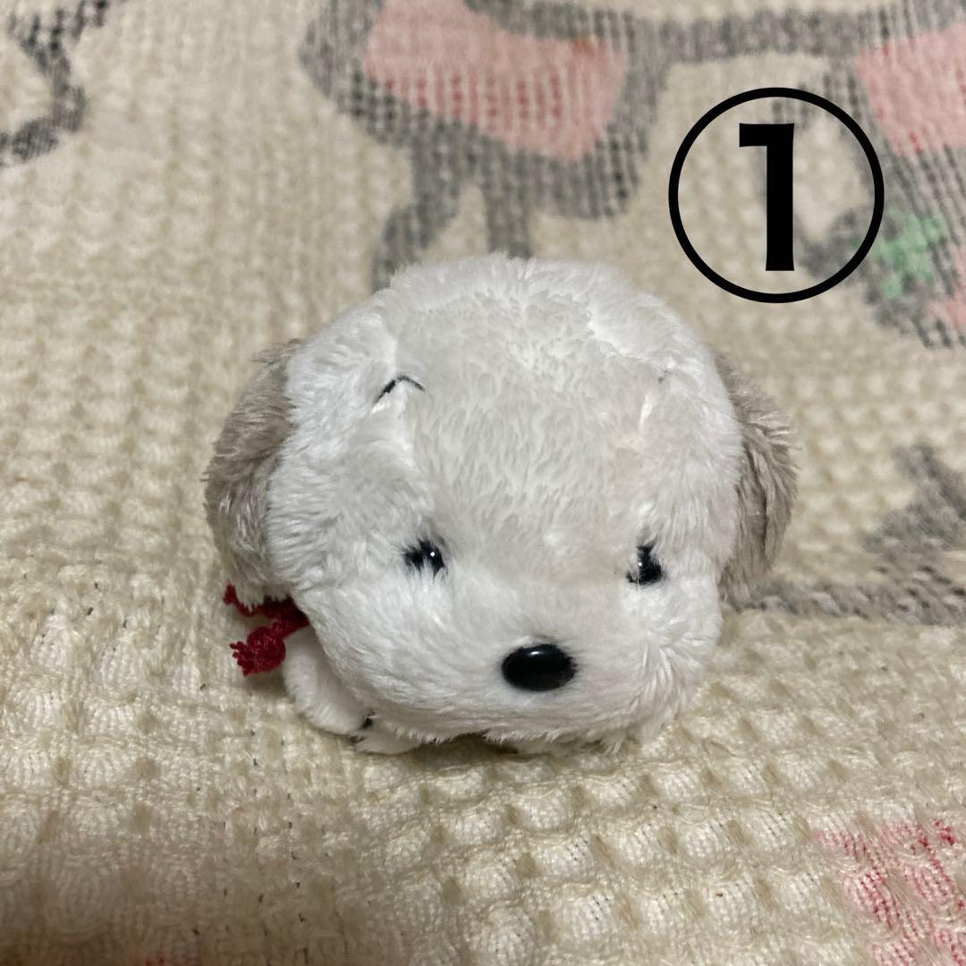 うめ吉　オリエンタルトーイ　寝そべりポーズ　くたくた　4コセット　バラ売り不可