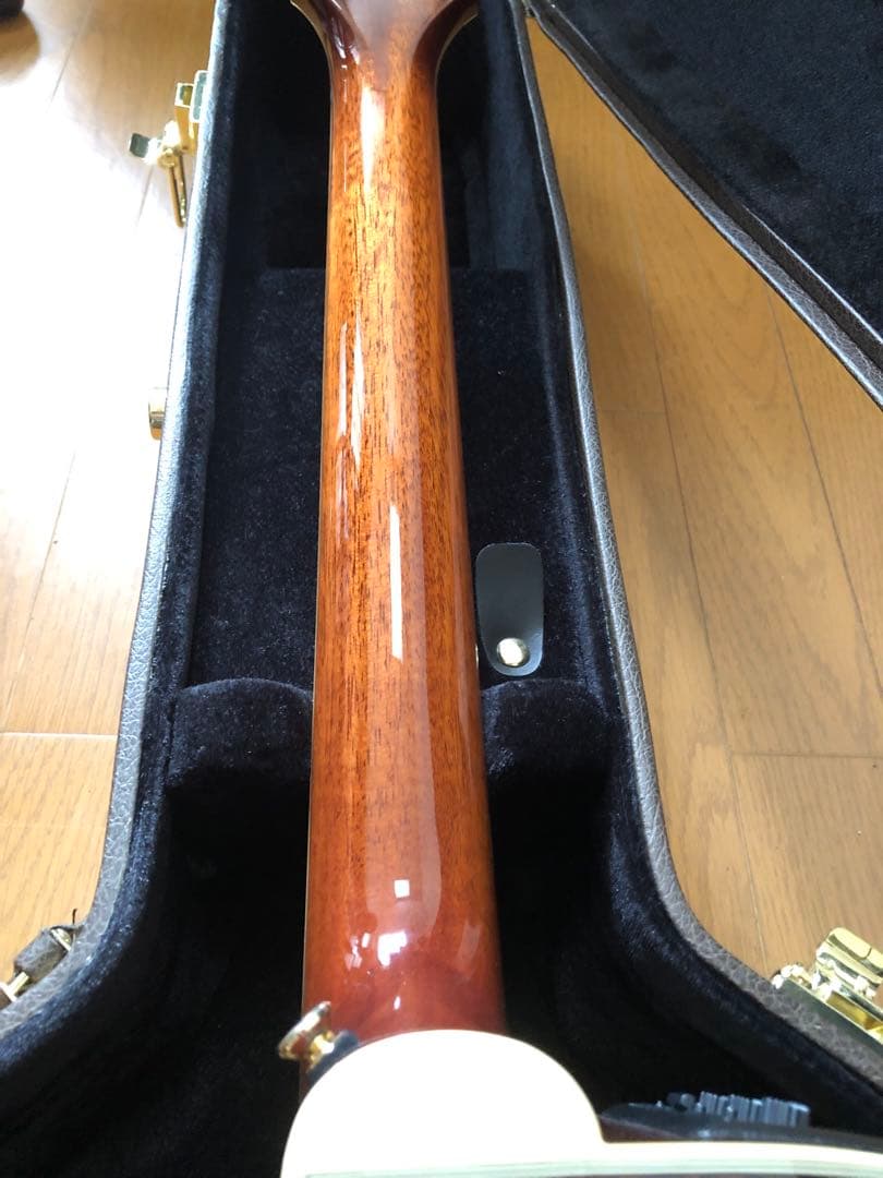 ギター Takamine DMP761C TB