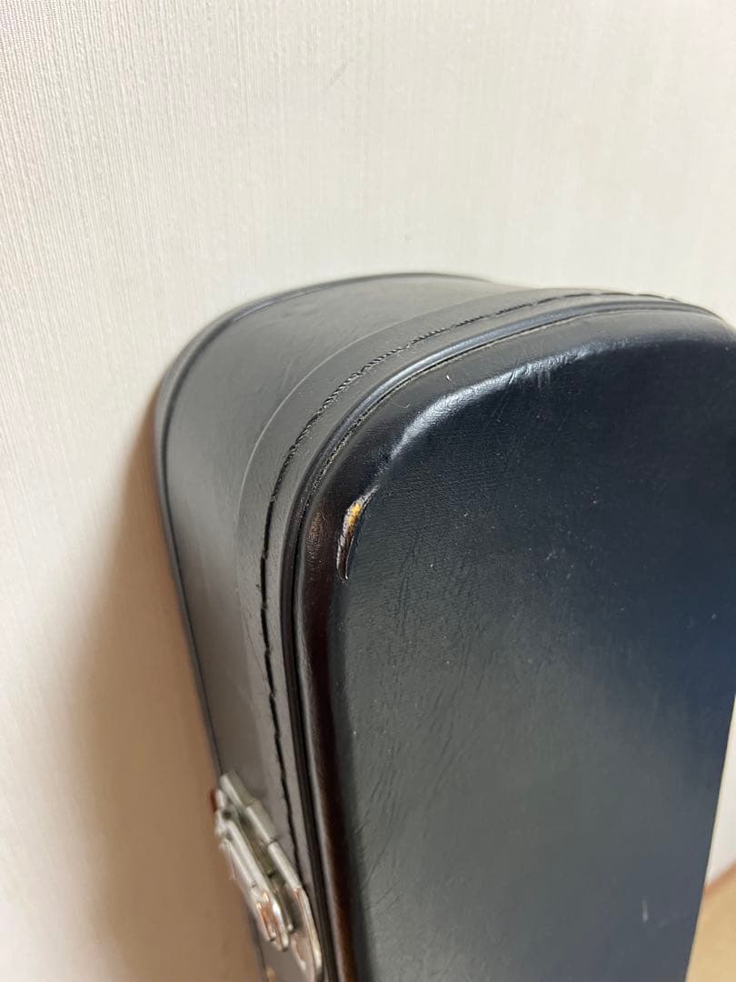 【限定特価】Epiphone Sheraton II EB ハードケース付