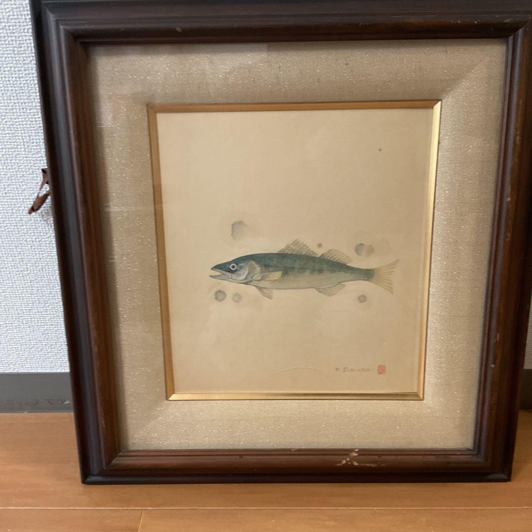 水彩画 肉筆画 【 魚 図 】 作者 落款印譜在 sakurai