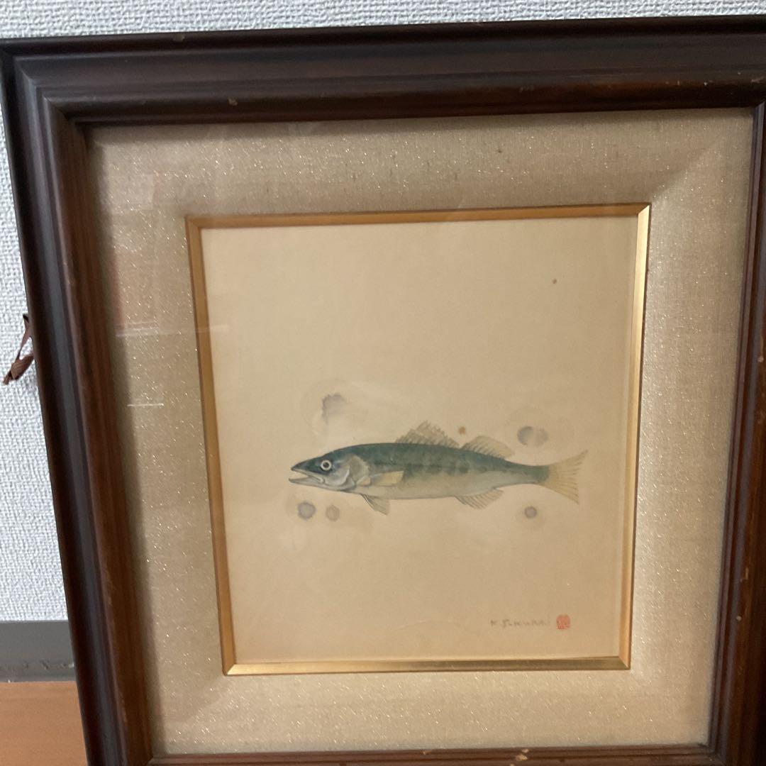 水彩画 肉筆画 【 魚 図 】 作者 落款印譜在 sakurai
