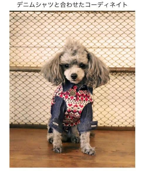 アトリエgg　ジャガードニットベスト