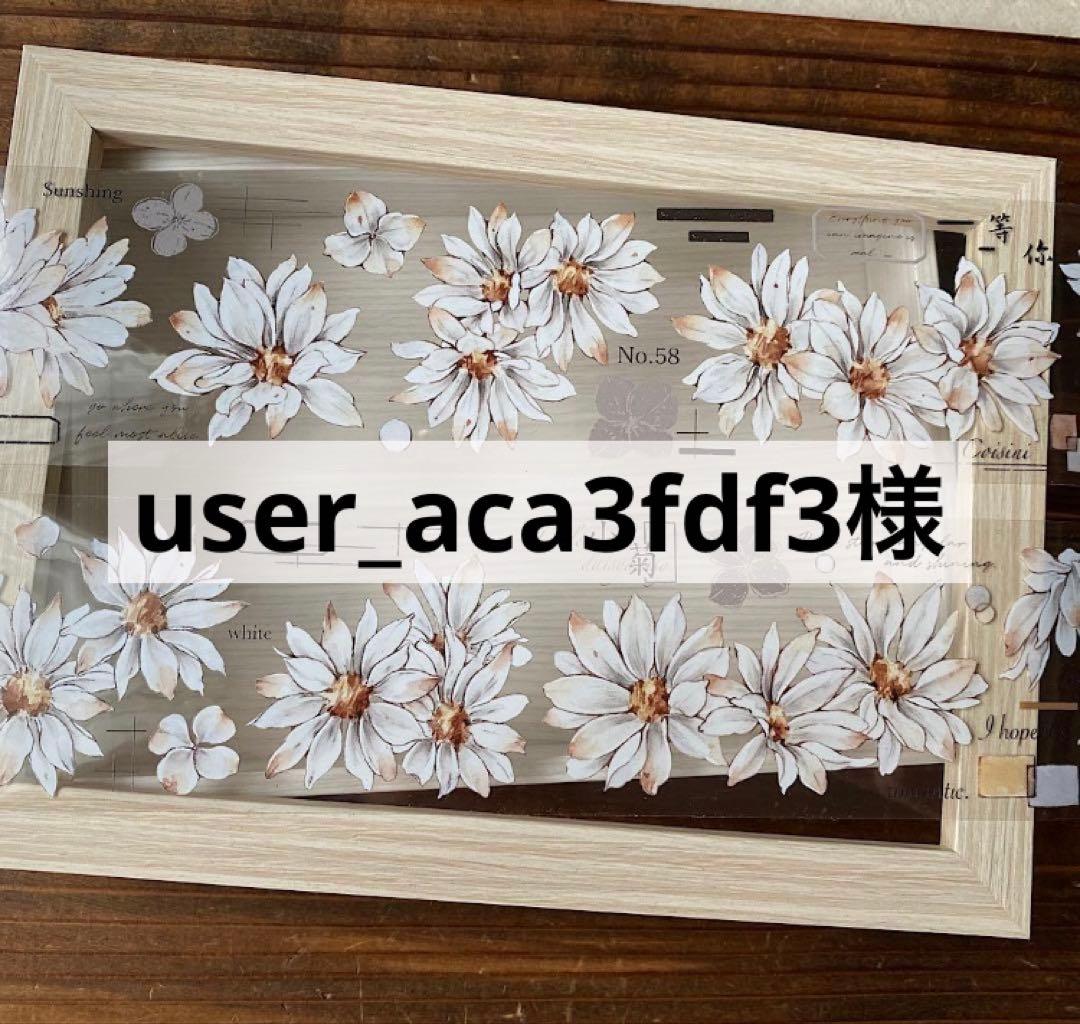 user_aca3fdf3様