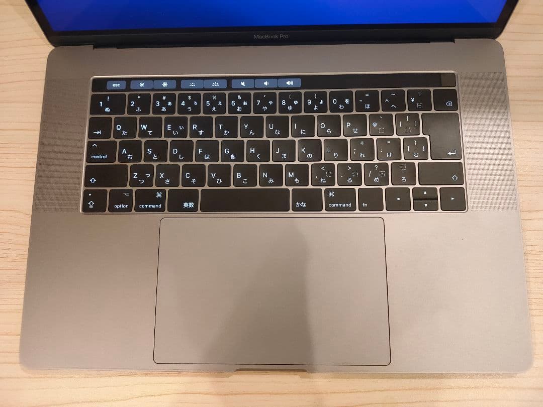 【本日限定値下げ】MacBookPro2017 16GB 256GB i7