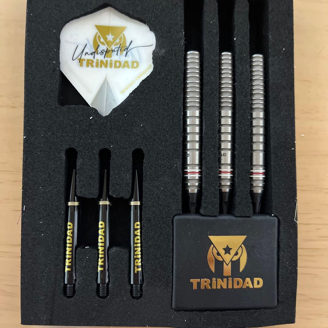 TRINIDAD GOMEZ TYPE 15 ダーツ 20gゴメス