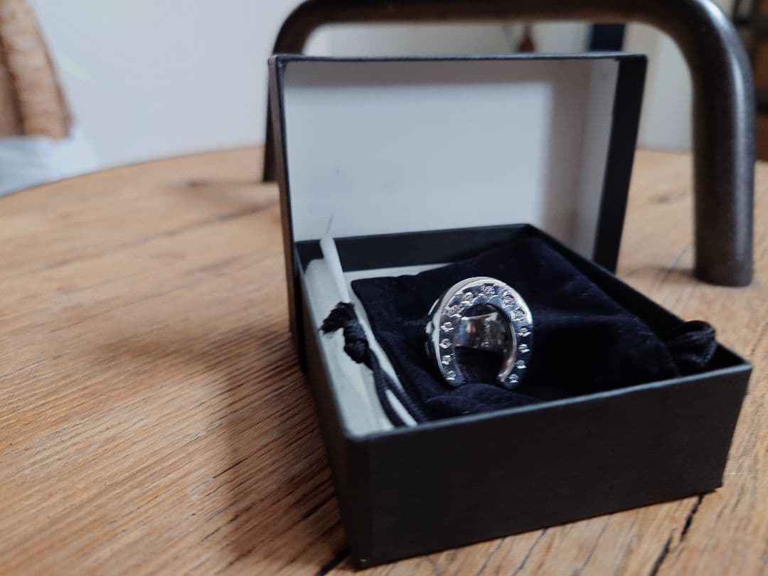 ACE by monizane ＋a シグネットリング計3点＋バンクローバー1点