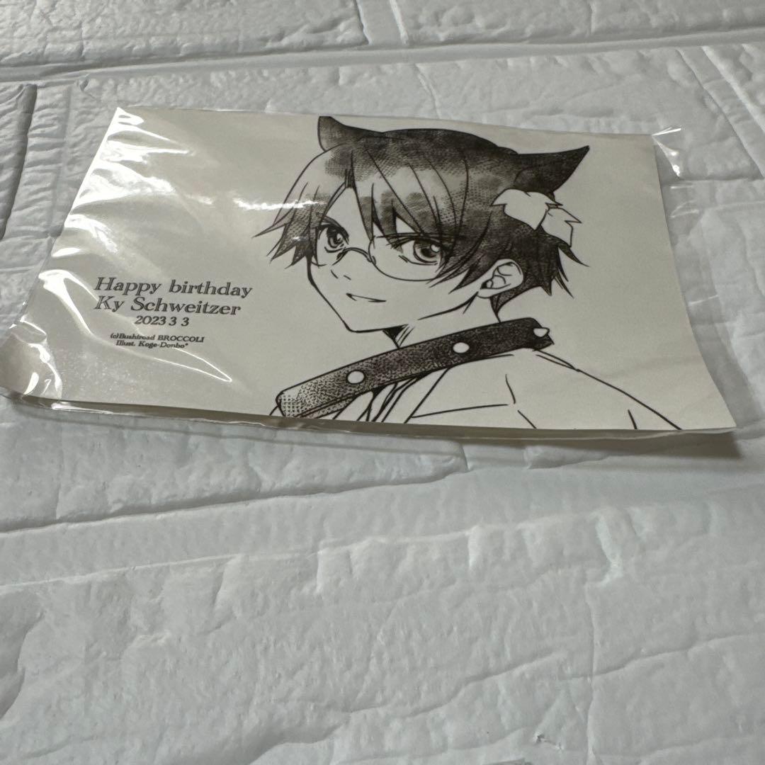 デ・ジ・キャラット　バースデーセット　カイ