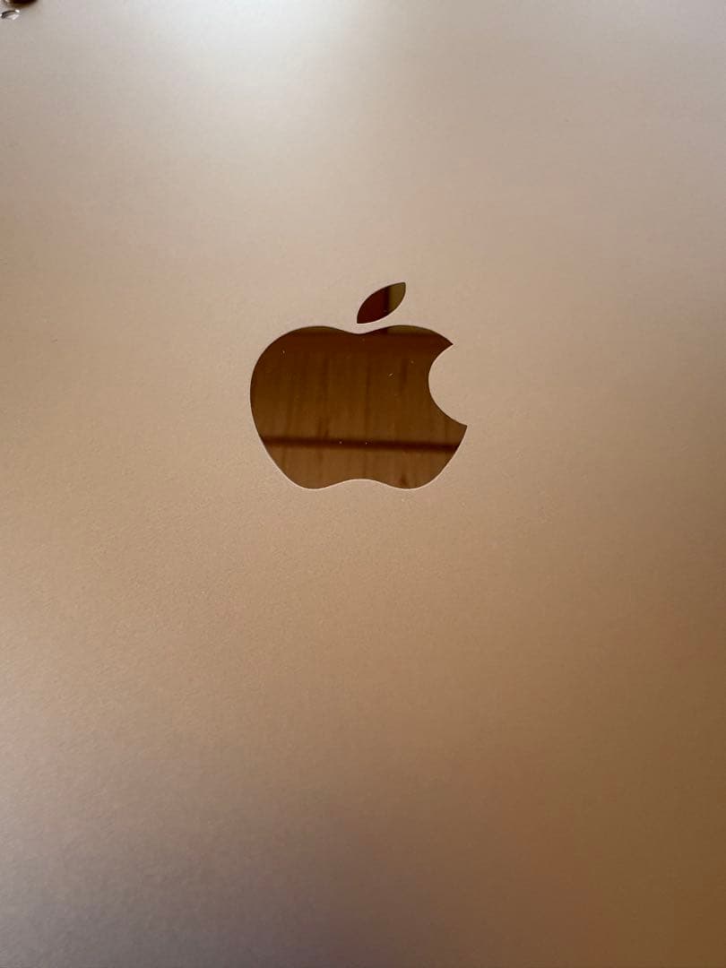 Apple iPad Pro ゴールド Wi-Fiモデル　256GB