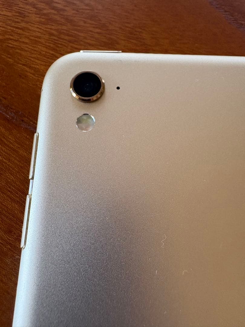 Apple iPad Pro ゴールド Wi-Fiモデル　256GB