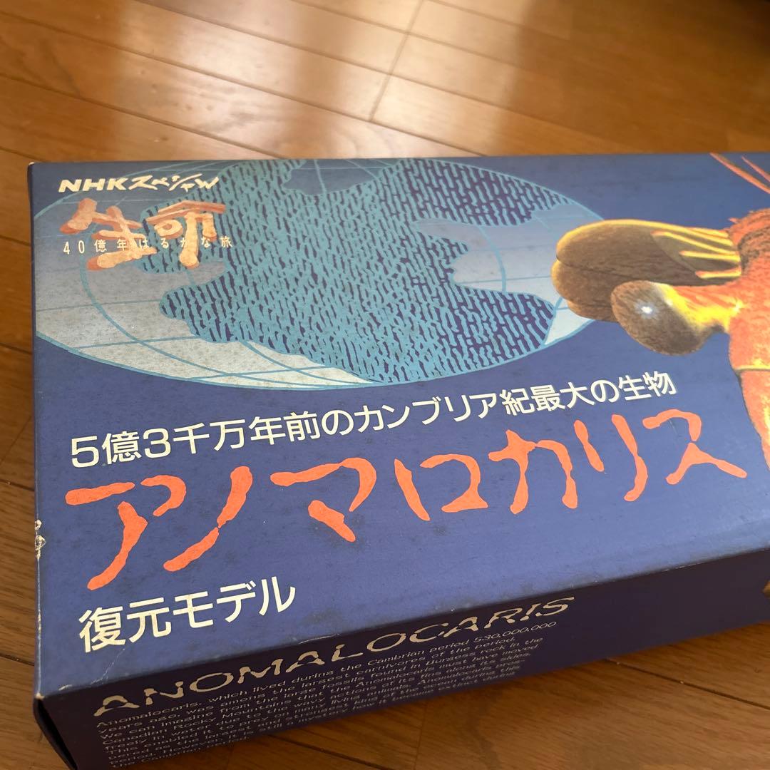 カンブリア紀　アノマロカリス　フィギュア　化石　復元モデル　NHKスペシャル