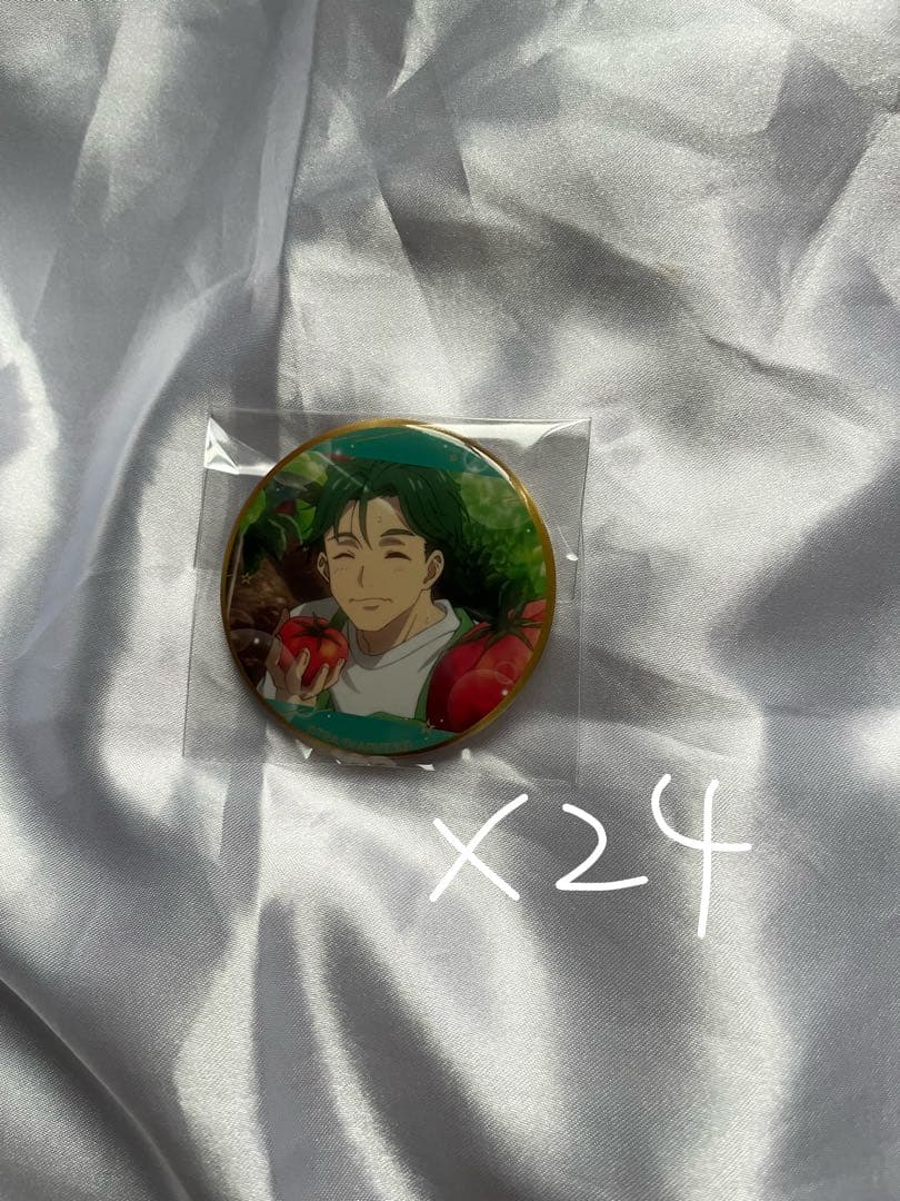 キングオブプリズム トレーディング缶バッジ プリズムアクト 鷹梁ミナト 24点