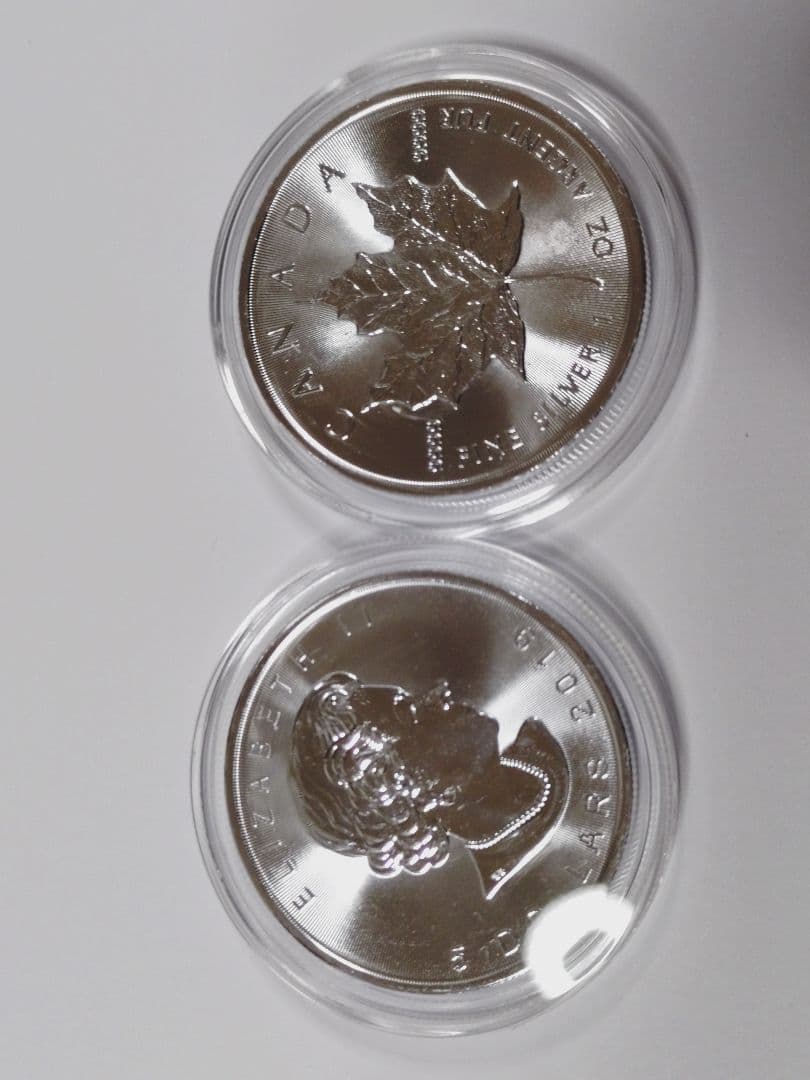 2019カナダメイプルリーフ銀貨1オンス 2枚セット　ケース付き