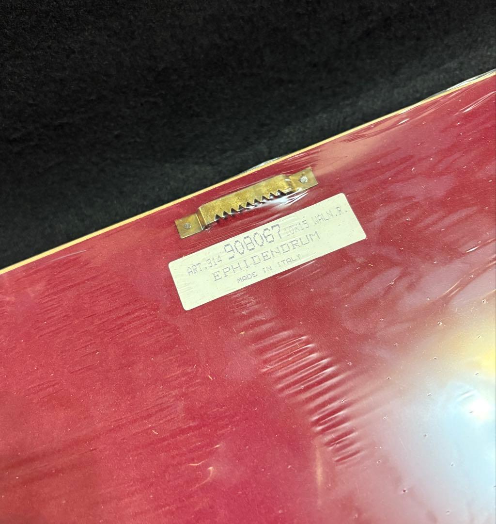 イタリア製 額装 インテリア 壁掛 エピデンドラム ラン科 ITALY オブジェ