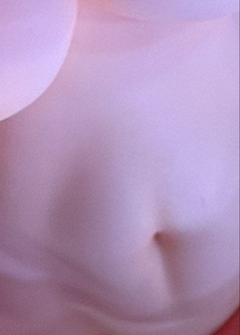 美少女スケールフィギュア 6体まとめ売り 国内正規品 総額10万円相当 福袋