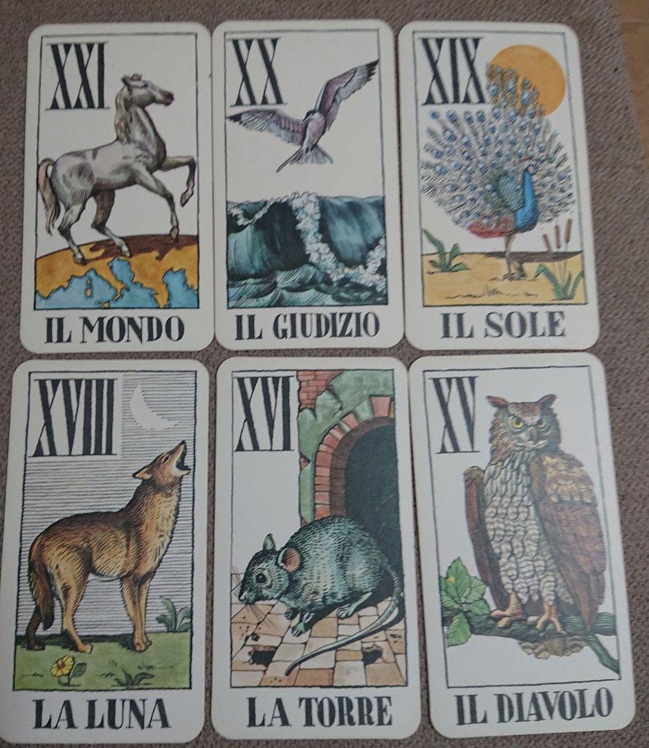 絶版❤️il Tarocco degli animali アニマルタロット