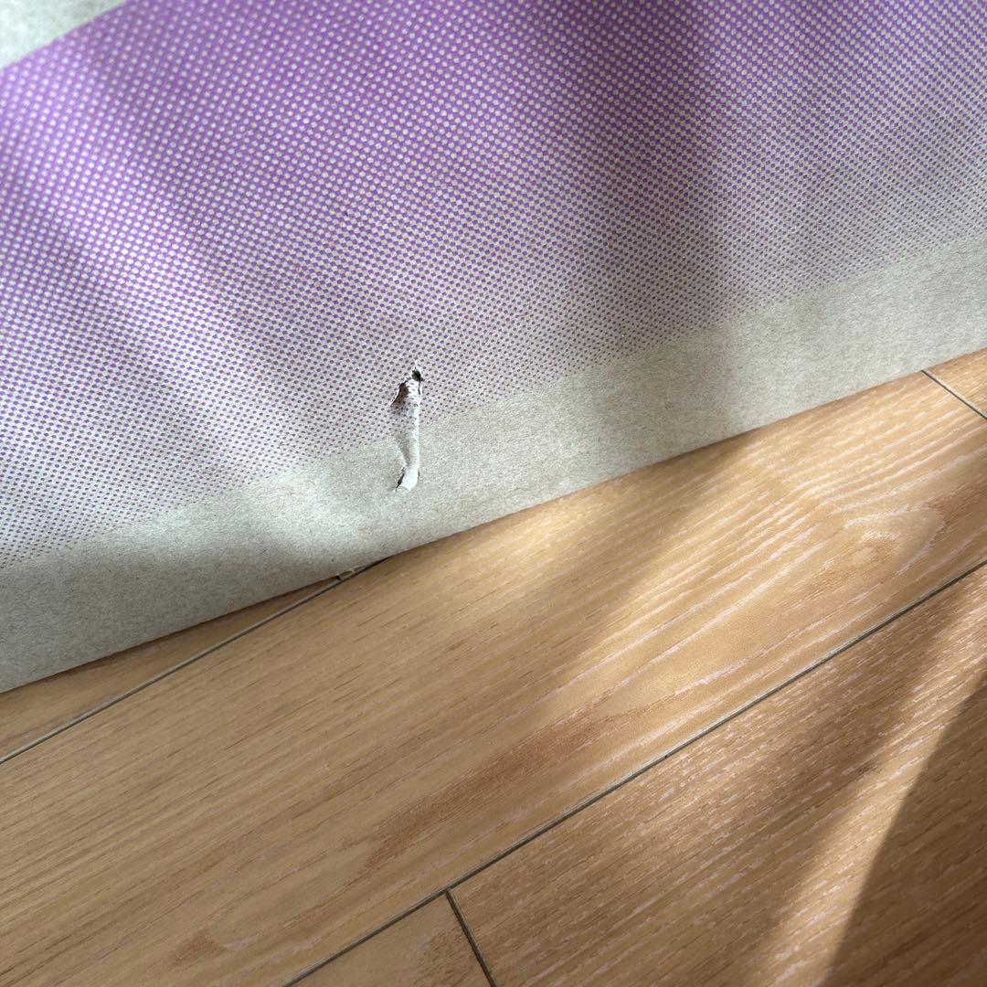 TOSHIBA VC-C3A(P)掃除機本体