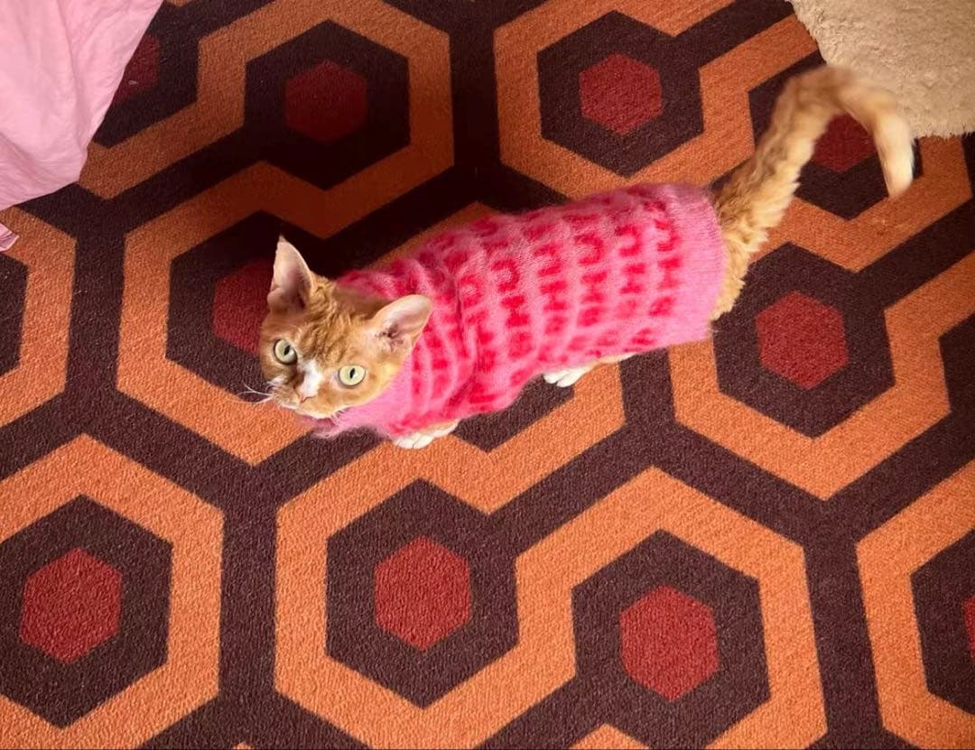 ashley williams 犬服 猫服