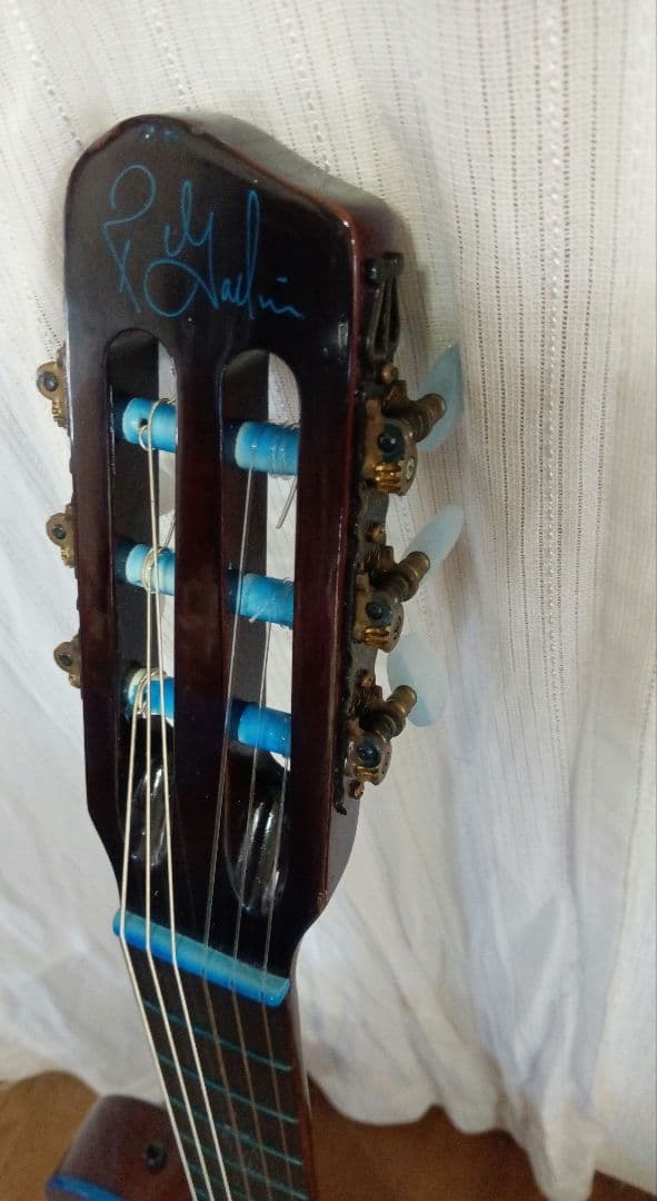 Godin Multiac エレアコ・オーシャンブルー仕立て