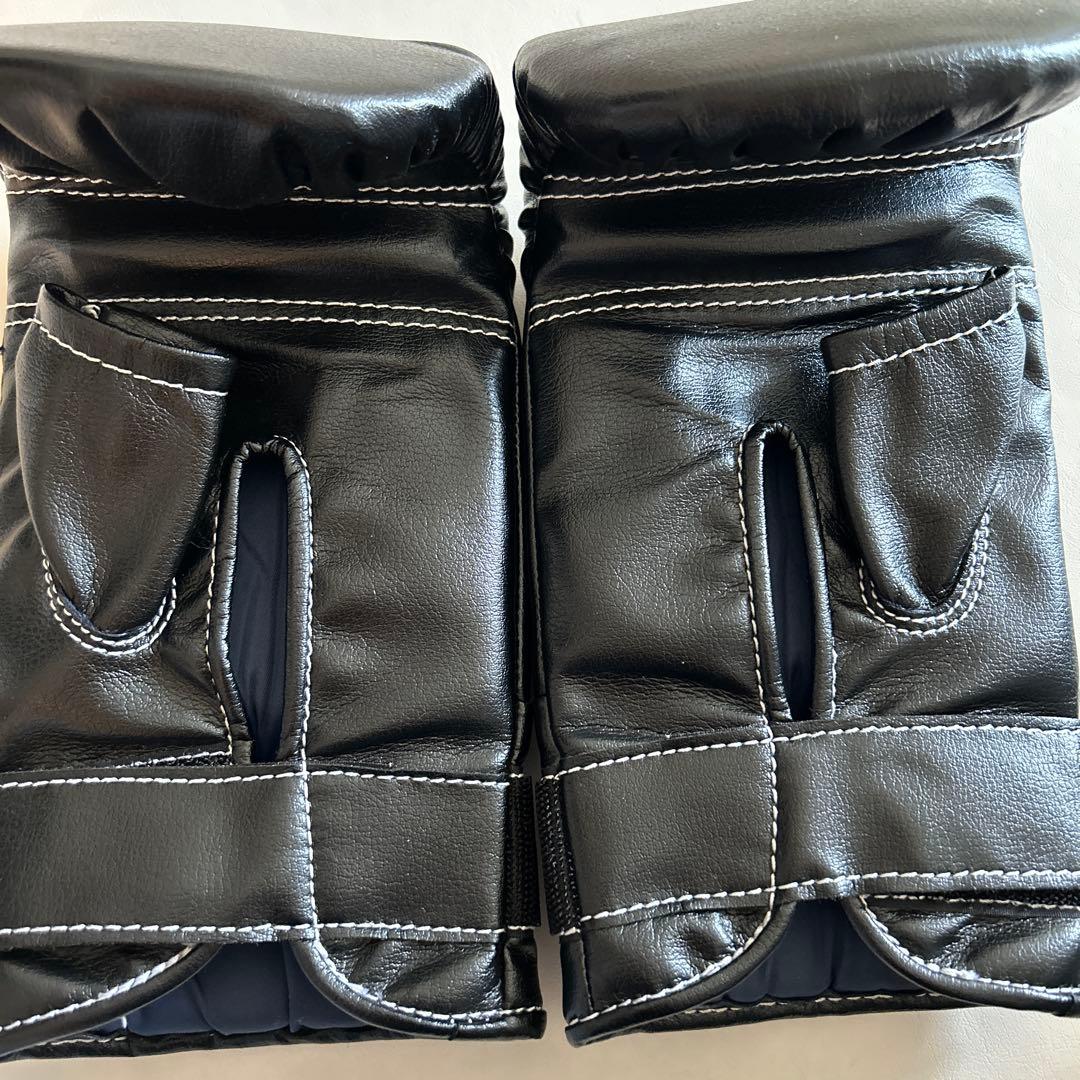 ウイニング　パンチンググローブ