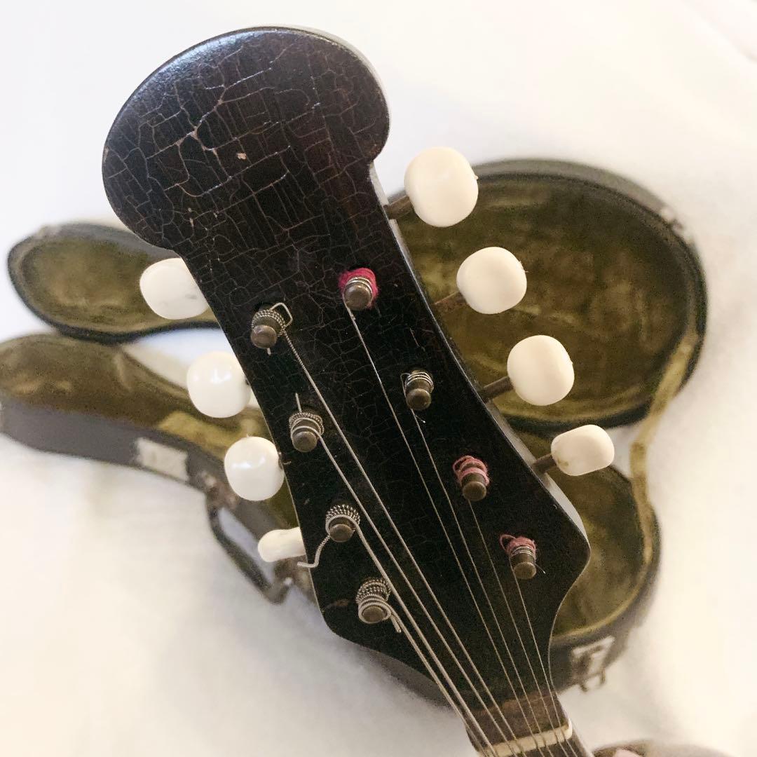 カラーチェ マンドリン 1965 ハードケース付raffaele calace