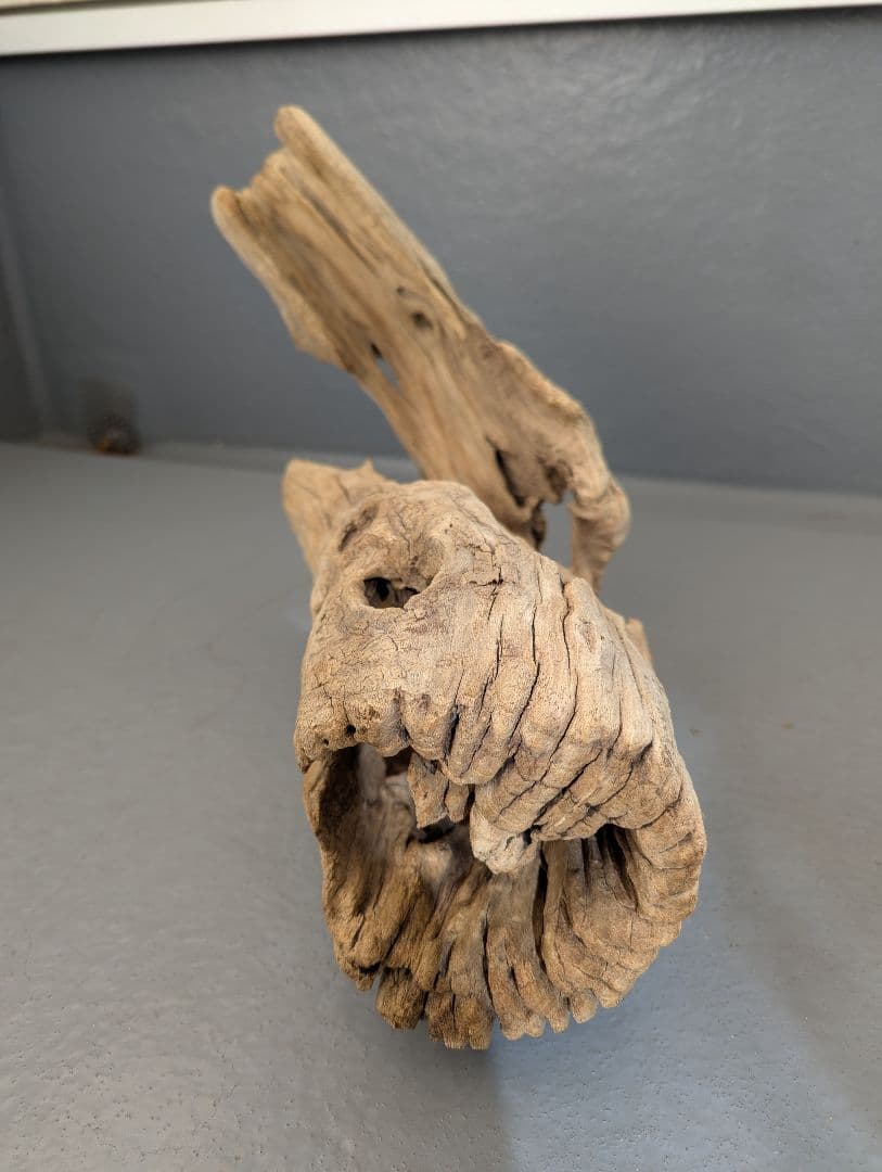 流木 約50cm 自然な形状　ビーチコーミング　アート素材　爬虫類　テラリウム