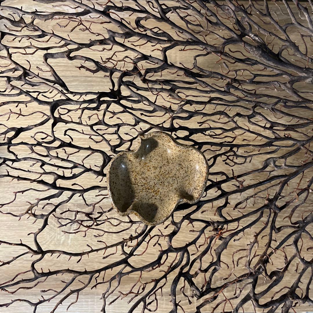 骨董　古陶　希少 まひこ 舞子焼　千鳥型　豆皿　小皿　茶道具　１客限り