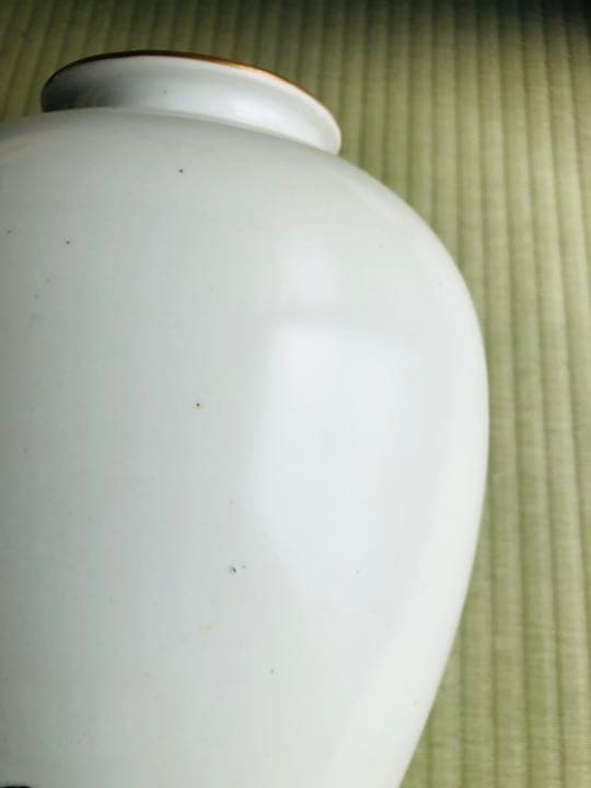 古九谷焼　原石　青赤獅子金彩牡丹丸紋　花瓶