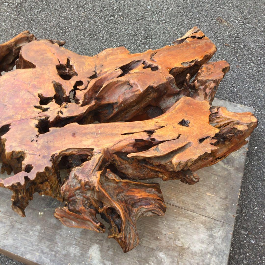 アートな自然木座卓　天然木　木株　アンティーク　超希少　ロウテーブル　置物