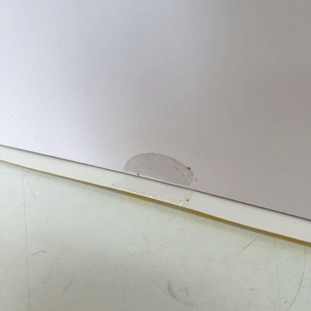 11AAM004 新品未開封 B.DUCK& SPA.DUCK（スパダック）