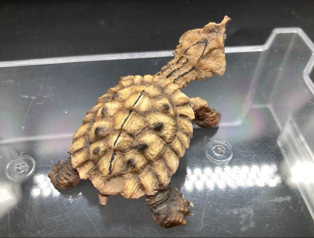 動物 生き物フィギュア ガレージキット 塗装済み完成品 19体セット