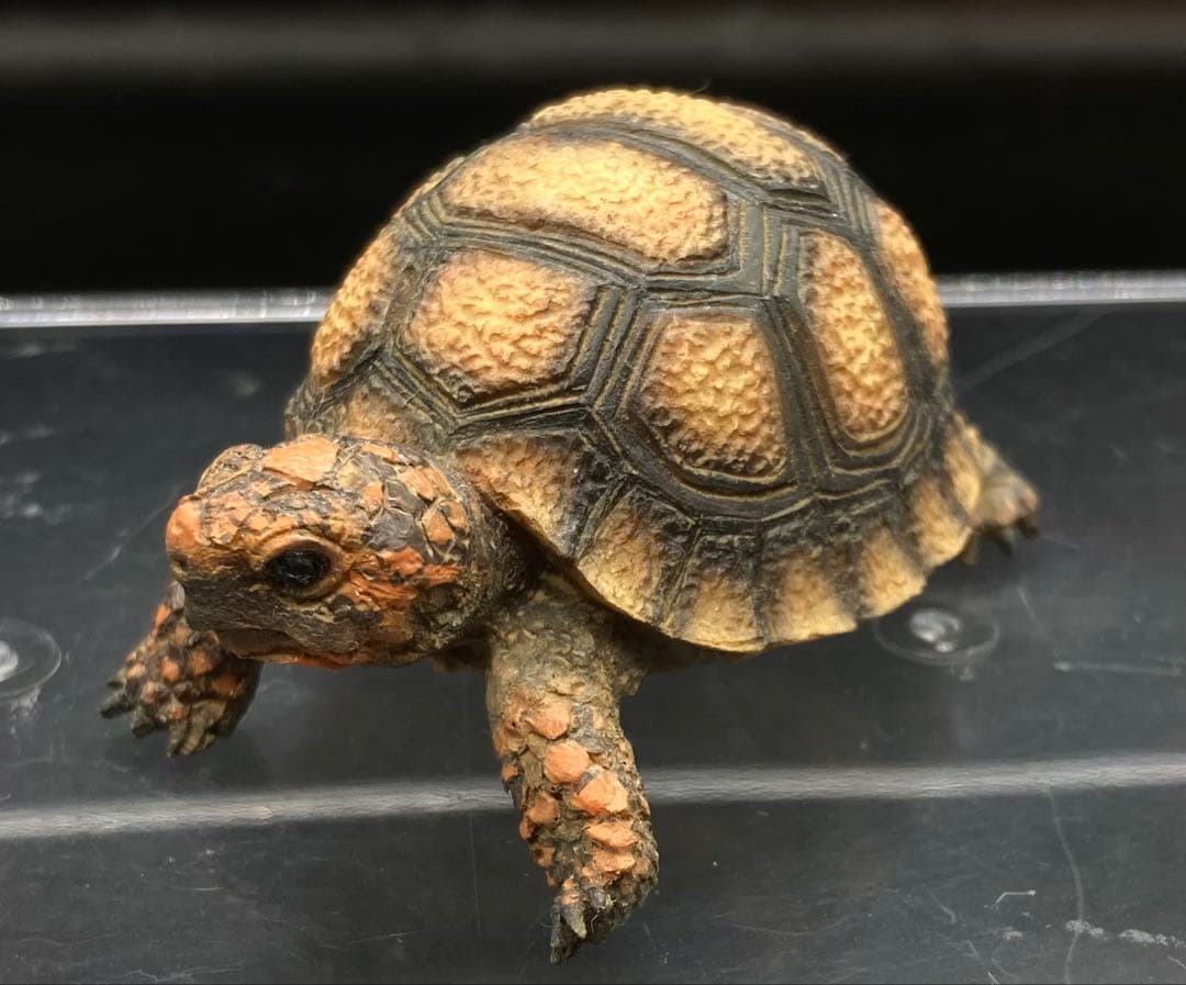 動物 生き物フィギュア ガレージキット 塗装済み完成品 19体セット