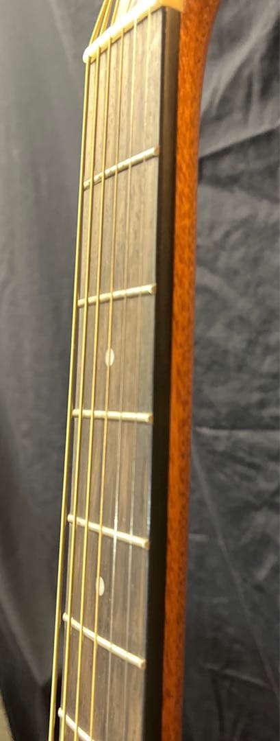 SELVA SF-1000S アコースティックギター