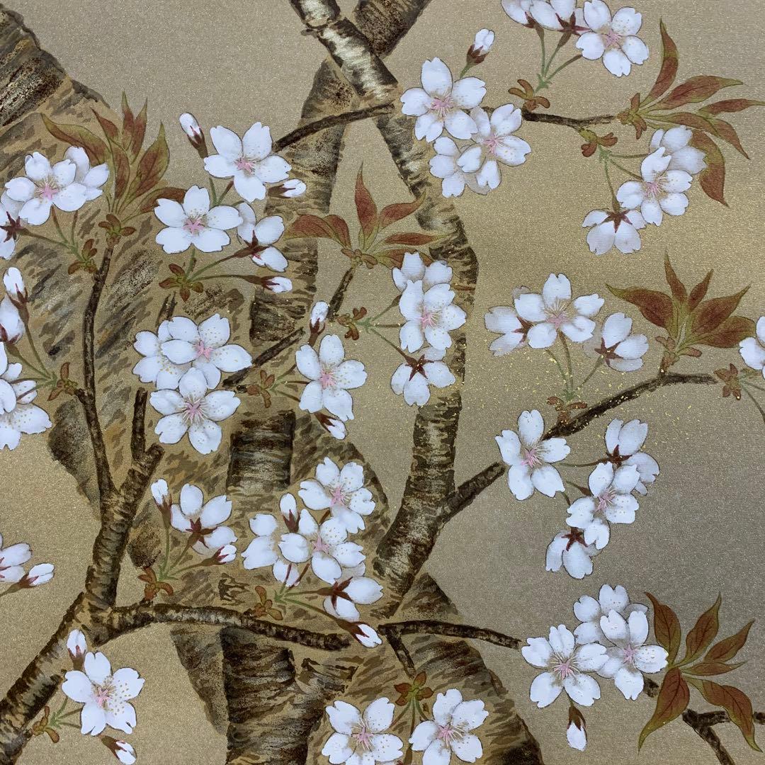 美品 掛け軸 柳沢寿江作 春宵図 桜 共箱 太巻き 縁起物